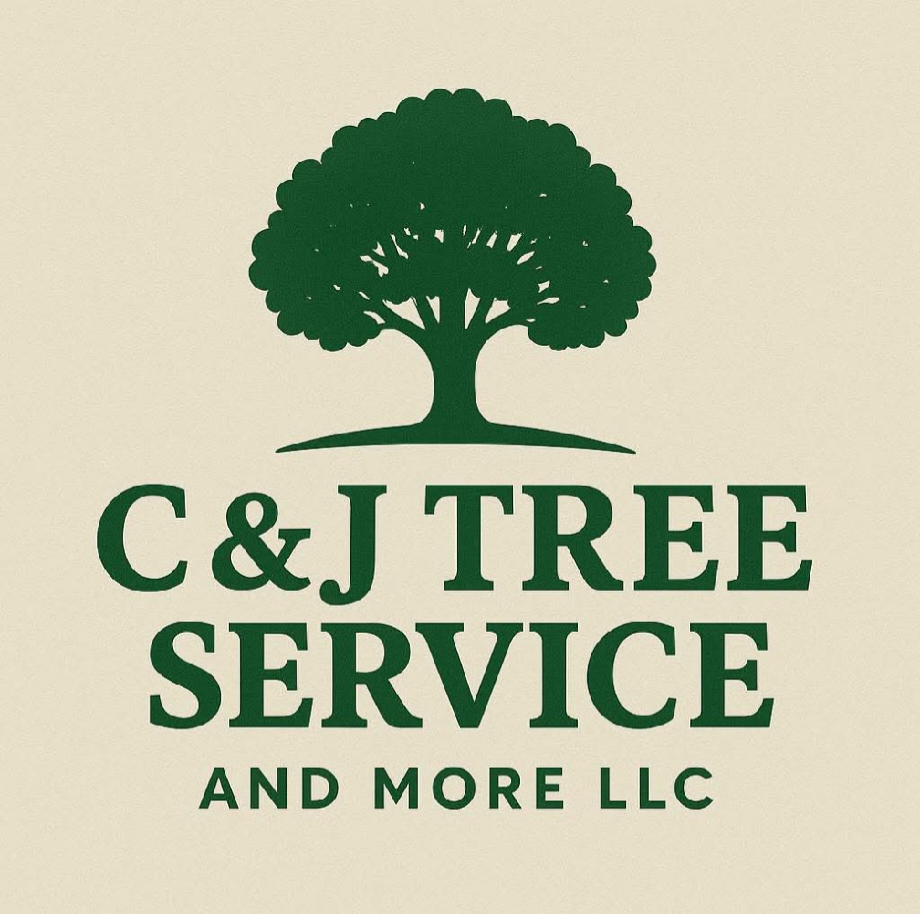 image000000_20251104_181435 (1)